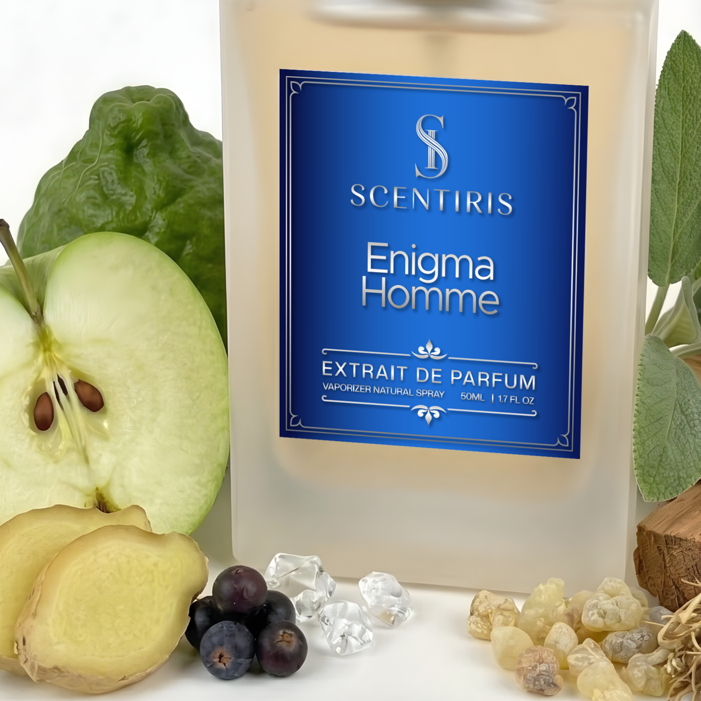 Enigma Homme